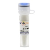 碧云天 凝血酶来源于牛血浆(40-300 NIH units/mg protein, Reagent grade)(ST1699-10KU)