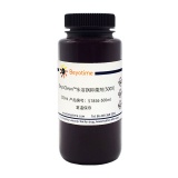 碧云天 BeyoClean水浴锅抑菌剂(500X)(ST856-500ml)