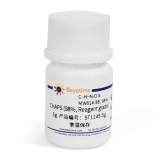 碧云天 CHAPS (98%, Reagent grade)（3-[(3-胆酰胺丙基)二甲氨基]丙磺酸内盐）(ST1145-5g)