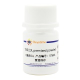 碧云天 TBS (1X, premixed powder)(Tris缓冲盐溶液)(ST665-1L)