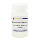 碧云天 植物Western及IP细胞裂解液(P0043-100ml)