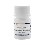 碧云天 Proteinase K（蛋白酶K）(ST535-500mg)