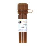 碧云天 MG-132 (Proteasome抑制剂)(S1748-5mg)