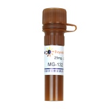 碧云天 MG-132 (Proteasome抑制剂)(S1748-25mg)