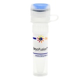 碧云天 BeyoFusion PCR Master Mix (2X)(预混液)(D7250-1ml)