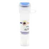 碧云天 dUTP (100mM)（脱氧尿苷三磷酸）(D7359-1ml)