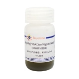 碧云天 BeyoMag RNA Clean Magnetic Beads (RNA纯化磁珠)(R0081-20ml)