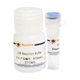 碧云天 RNase T1(核糖核酸酶T1)(R7096M)