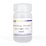 碧云天 DEPC水(DNase、RNase free)(R0021)