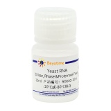 碧云天 Yeast RNA (DNase, RNase Proteinase Free)（酵母高纯度RNA）(R0040-10ml)