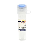 碧云天 UTP (100mM, Nuclease free)(UTP溶液)(D7381-1ml)