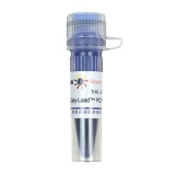 碧云天 Easy-Load PCR Master Mix (Blue, 2X)(PCR预混液)(D7251-1ml)