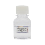 碧云天 BeyoPure Ultrapure Water (PCR级, Sterile)(ST873-100ml)