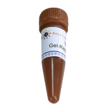 碧云天 Gel-Red (EB升级换代产品, 10000X)(D0140)