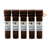 碧云天 InstantView红色荧光DNA上样缓冲液(6X, BeyoRed)(D0081-10ml)