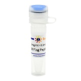 碧云天 3X Flag Peptide (3X Flag多肽)(P9801-1mg)