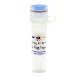 碧云天 3X Flag Peptide (3X Flag多肽)(P9801-25mg)