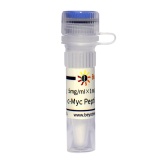 碧云天 c-Myc Peptide (Myc标签多肽)(P9805-5mg)