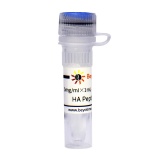 碧云天 HA Peptide (HA多肽)(P9808-5mg)