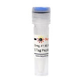 碧云天 S Tag Peptide (S Tag多肽)(P9816-25mg)