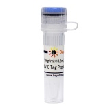 碧云天 VSV-G Tag Peptide (VSV-G Tag多肽)(P9822-1mg)