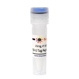 碧云天 VSV-G Tag Peptide (VSV-G Tag多肽)(P9822-25mg)