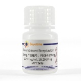 碧云天 Recombinant Streptavidin(重组Streptavidin)(P5084-100mg)