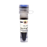 碧云天 BeyoMag Protein A+G磁珠(P2108-1ml)