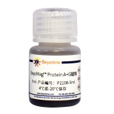 碧云天 BeyoMag Protein A+G磁珠(P2108-5ml)