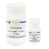 碧云天 TEV Protease (GST/His-tag)(TEV蛋白酶)(P2310M)