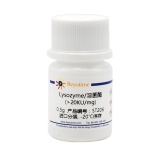 碧云天 Lysozyme/溶菌酶(>20KU/mg)(ST206)