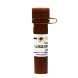 碧云天 大豆胰蛋白酶胰凝乳蛋白酶抑制剂(BioReagent)(SG2031-50mg)