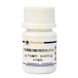 碧云天 大豆胰蛋白酶抑制剂(BioPlus)(SG2033-1g)