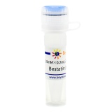 碧云天 Bestatin (氨肽酶抑制剂)(SG2008-10mM)