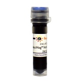 碧云天 BeyoMag Anti-HA Magnetic Beads (Anti-HA磁珠)(P2121-2ml)