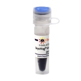 碧云天 BeyoMag Anti-His Magnetic Beads (Anti-His磁珠)(P2135-0.5ml)