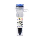 碧云天 BeyoMag Anti-GST Magnetic Beads (Anti-GST磁珠)(P2138-0.5ml)