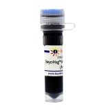 碧云天 BeyoMag Anti-GST Magnetic Beads (Anti-GST磁珠)(P2138-2ml)