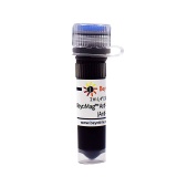 碧云天 BeyoMag Anti-V5 Magnetic Beads (Anti-V5磁珠)(P2141-2ml)