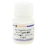 碧云天 Anti-Flag Affinity Gel (Anti-Flag亲和凝胶)(P2271-10ml)