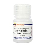 碧云天 Anti-V5 Affinity Gel (Anti-V5亲和凝胶)(P2289-10ml)