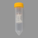 碧云天 超滤管(15ml, 30kDa MWCO, PES, Sartorius分装)(FUF153-2pcs)