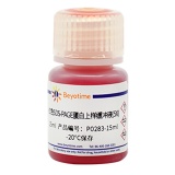 碧云天 红色SDS-PAGE蛋白上样缓冲液(5X)(P0283-15ml)