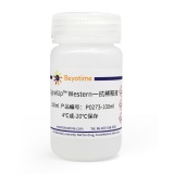 碧云天 SignalUp Western一抗稀释液(P0273-100ml)