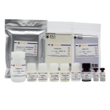 碧云天 Human Angiopoietin-2 ELISA Kit(人Angiopoietin-2抗体预包被板)(PA035)