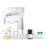 碧云天 Human C3a ELISA Kit(人补体成分C3a酶联免疫吸附检测试剂盒)(PC091)