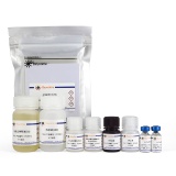 碧云天 Human C5a ELISA Kit (人补体成分C5a酶联免疫吸附检测试剂盒)(PC094)