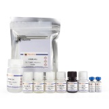 碧云天 Human Dtk/Tyro3/SKY ELISA Kit(人Dtk/Tyro3/SKY ELISA试剂盒)(PD235)