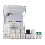 碧云天 Human GDF-11/BMP-11 ELISA Kit(人生长分化因子11酶联免疫吸附检测试剂盒)(PG367)