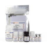 碧云天 Human/Mouse/Rat HMGB1 ELISA Kit(人/小鼠/大鼠HMGB1 ELISA 试剂盒)(PH406)